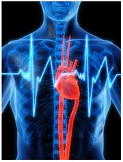 Български открития - Шестият сърдечен тон