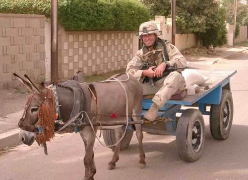 Магарешка артилерия Магарешка артилерия