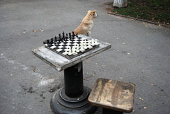 Депресивно за София