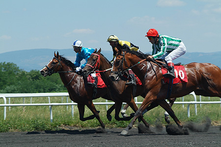 Тодоровден 2013