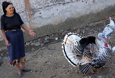 БАБА ТОДОРКА