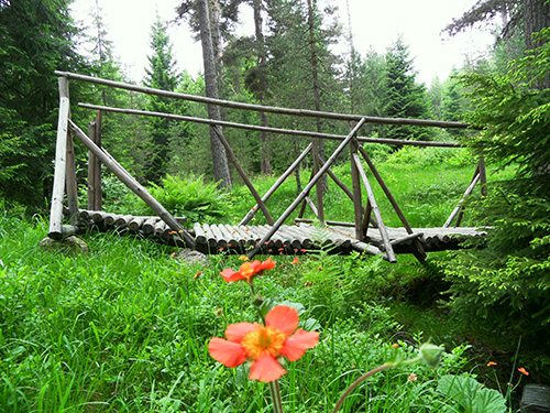 Зелена идея 2012