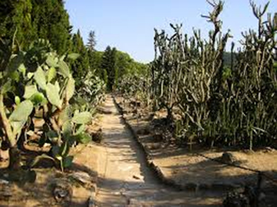 България - Балчик - дворец градина