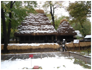 Румъния - етнографски парк